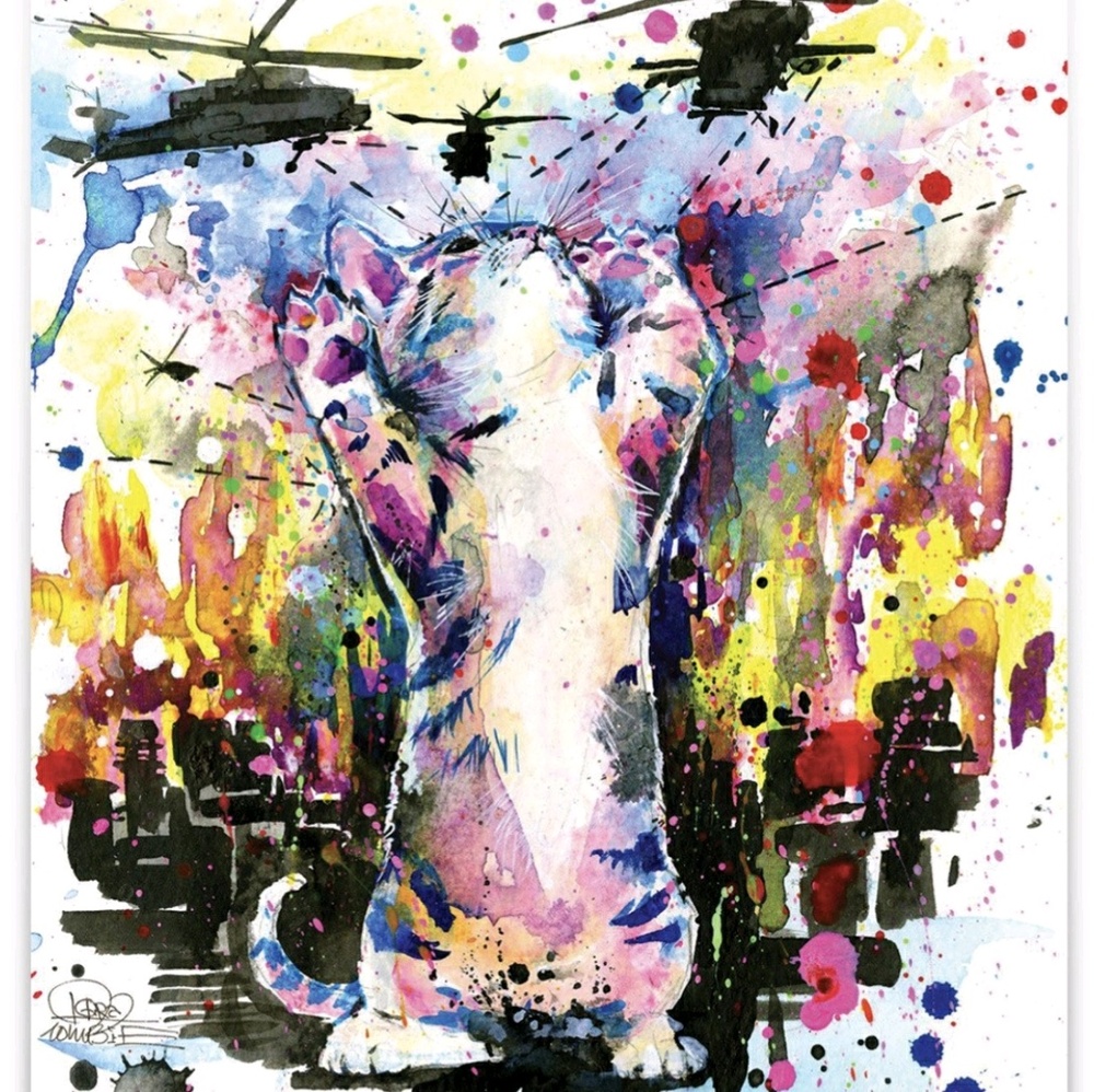 Meet your Posher, Robyn